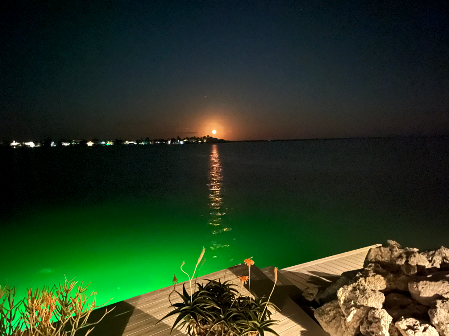 Bluewater Key RV Resort - 43 Park Ave.